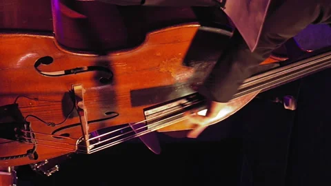 Double bass player on the stage Stock Footage 91151750