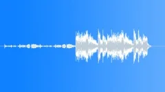 Double Bass Sound CheckStock Music
