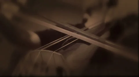Double Bass Stringed Orchestra Musical Instrument (Loop) Stock Footage 35797929