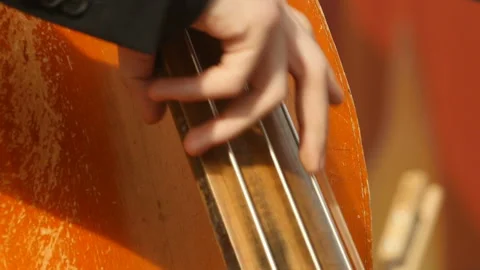 Double bass strings Stock Footage 118153630