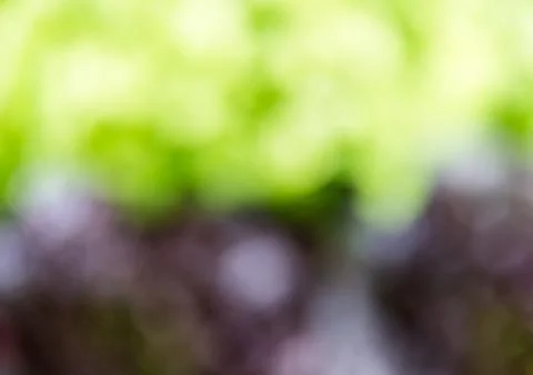 Double blur blackground Stock Photos