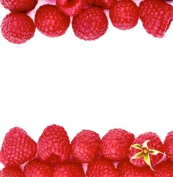 Double Border of Raspberries Stock Photos