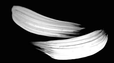 Double Brush Strokes Stock Footage 68739030
