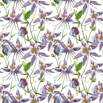 Double Columbine flowers. Seamless pattern. Collection of hand drawn flowers and Stock Illustration