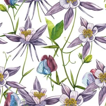 Double Columbine flowers. Seamless pattern. Collection of hand drawn flowers and Stock Illustration