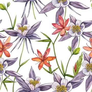 Double Columbine flowers. Seamless pattern. Collection of hand drawn flowers and Stock Illustration