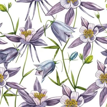 Double Columbine flowers. Seamless pattern. Collection of hand drawn flowers and Stock Illustration