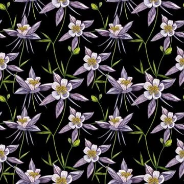 Double Columbine flowers. Seamless pattern. Collection of hand drawn flowers and Stock Illustration