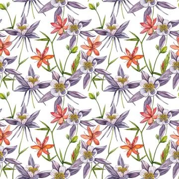 Double Columbine flowers. Seamless pattern. Collection of hand drawn flowers and Stock Illustration