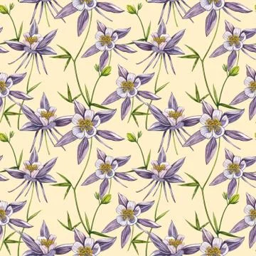 Double Columbine flowers. Seamless pattern. Collection of hand drawn flowers and Stock Illustration