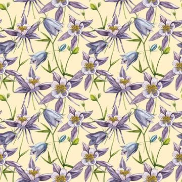 Double Columbine flowers. Seamless pattern. Collection of hand drawn flowers and Stock Illustration