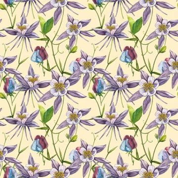 Double Columbine flowers. Seamless pattern. Collection of hand drawn flowers and Stock Illustration