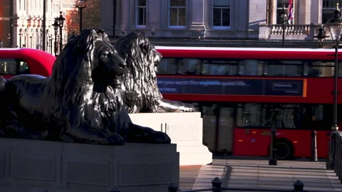 A double decker bus passes the lions at Trafalgar Square Stock Footage 142743018