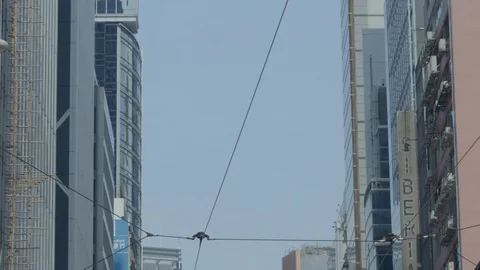 Double decker tram approach the stop in Hong Kong Stock Footage 127508118