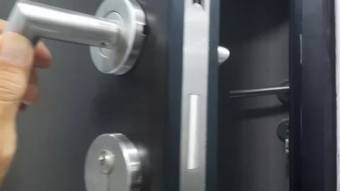 Double Doors, Hand Opening Stock Footage 336245144