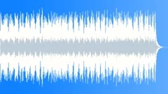 Double Down (WP) 02 Alt1 ( western,country,rootsy,upbeat,southern,swampy ) Stock Music