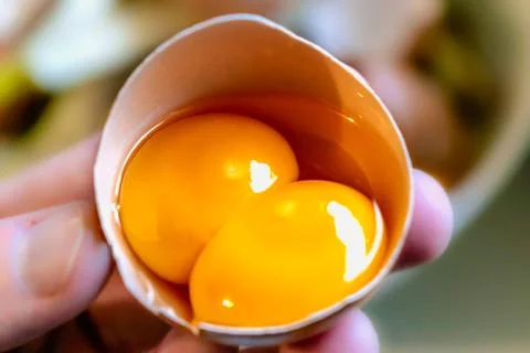 Double egg yolk in an egg 库存照片