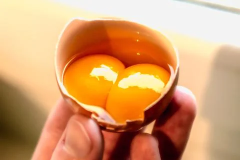 Double egg yolk in an egg Stockfoto's