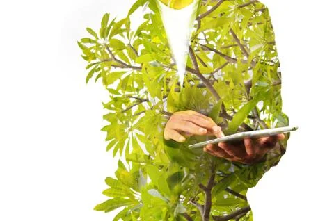 Double Exposure of Business Man using Mobile Tablet PC with green leaf Stock Photos