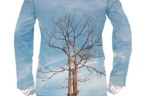 Double Exposure of Businessman and Dead tree Stock Photos
