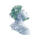 Double Exposure Of Businessman And Tree Stock Photos