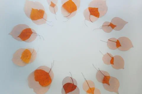 Double exposure circular text frame made autumn dry leaves blue background Stock Photos