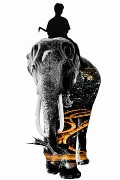 Double Exposure Effect Elephant with elephant and city to use for problems No Stock Photos