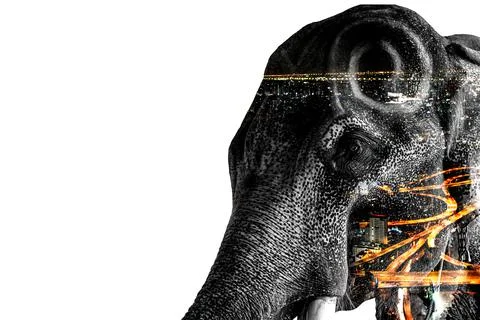 Double Exposure Effect Elephant with elephant and city to use for problems No Foto stock
