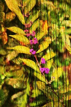 Double exposure of floral objects Stock Photos