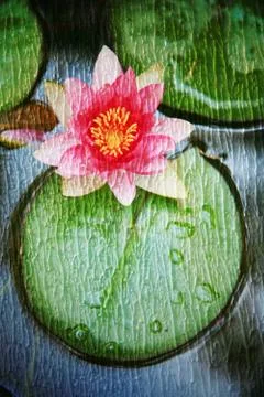 Double exposure of floral objects Stock Photos