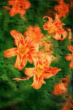 Double exposure of floral objects Stock Photos