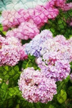 Double exposure of floral objects Stock Photos