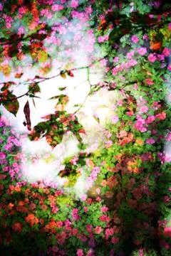 Double exposure of floral objects Stock Photos