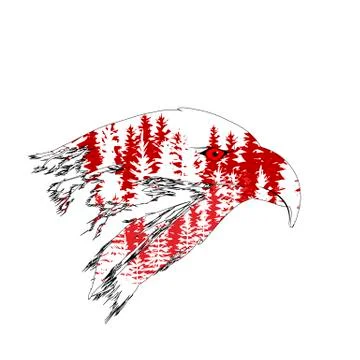 Double exposure of the head of an eagle with a forest. Vector art logo EPS 10 스톡 일러스트