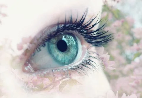 Double exposure of human eye with spring blooming trees on the background. Be Stock Photos