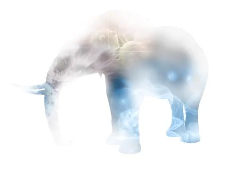 Double exposure Stock Illustration