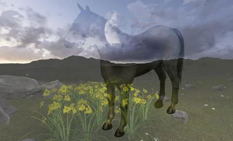 Double exposure Stock Illustration