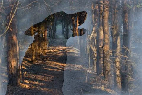 Double exposure image Stock Photos