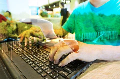 Double Exposure of Man with Laptop Computer and Seagull Bird at Mangrove fore Stock Photos