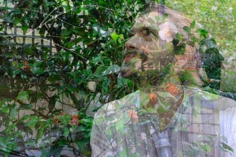 Double exposure of a mid aged man and flowers Stock Photos