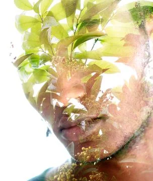 Double exposure portrait of an attractive African American man Stock Photos