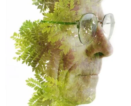 A double exposure profile of a man with glasses merged with a photo ferns Stock Illustration