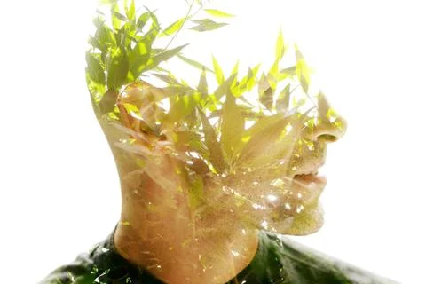 Double exposure profile portrait of a man with green branches Stock Illustration