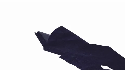 Double exposure silhouette open book reading hands Stock Footage 150733633