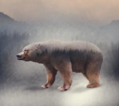 Double exposure of a wild bear and a pine forest イラスト素材