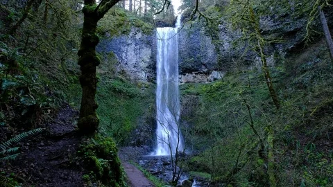 Double Falls, Silver Falls State Park, Oregon Stock Footage 74249266