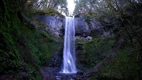 Double Falls, Silver Falls State Park, Oregon - Fisheye 스톡 동영상 74249273
