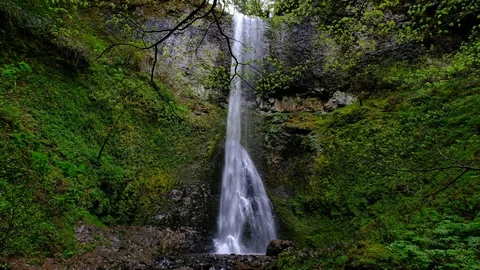 Double Falls, Silver Falls State Park, Oregon Stock Footage 89805715