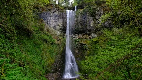 Double Falls, Silver Falls State Park, Oregon Stock Footage 89805718