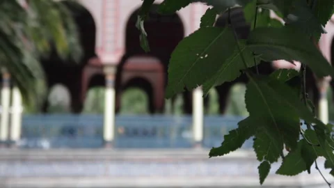 Double focus of green leaves and Moorish kiosk in the background Stock Footage 162016561
